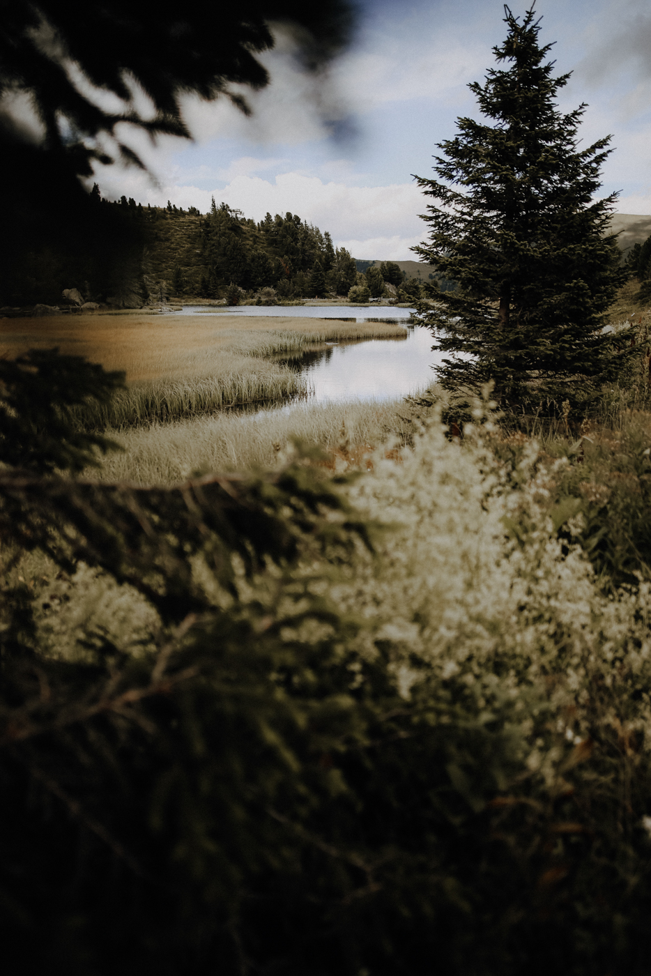 Nockberge Kärnten Nockalmstraße Winebensee