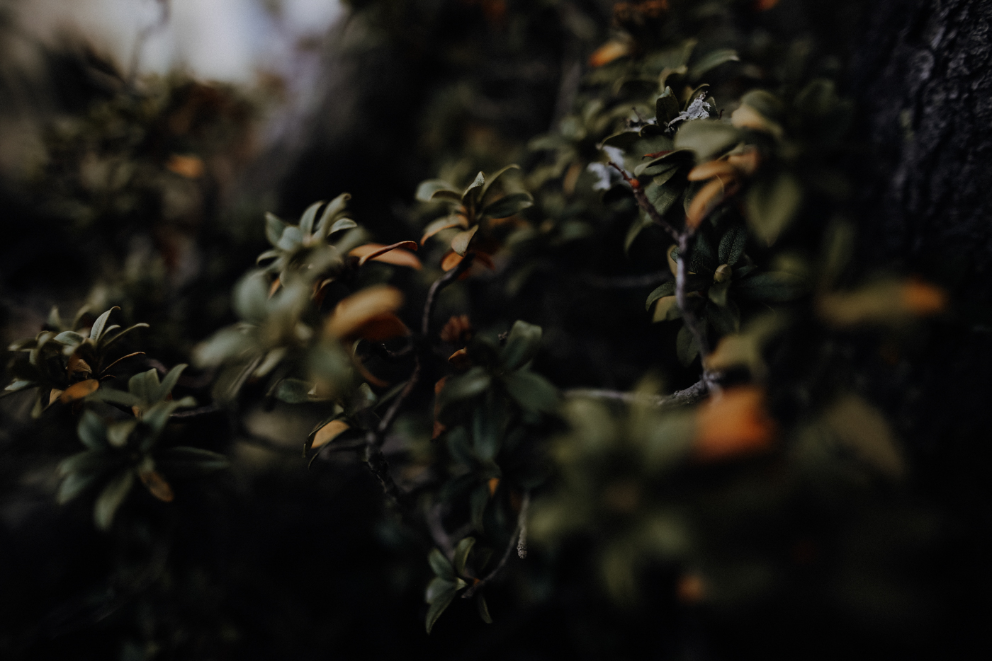 Nockberge Kärnten Nockalmstraße