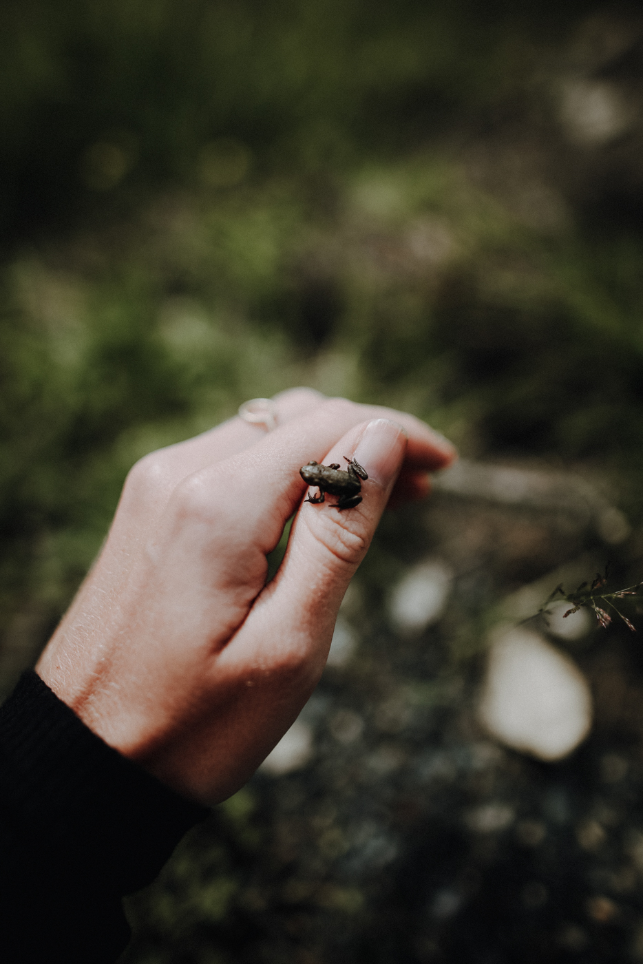Nockberge Kärnten Brunnach Speichersee Yoga
