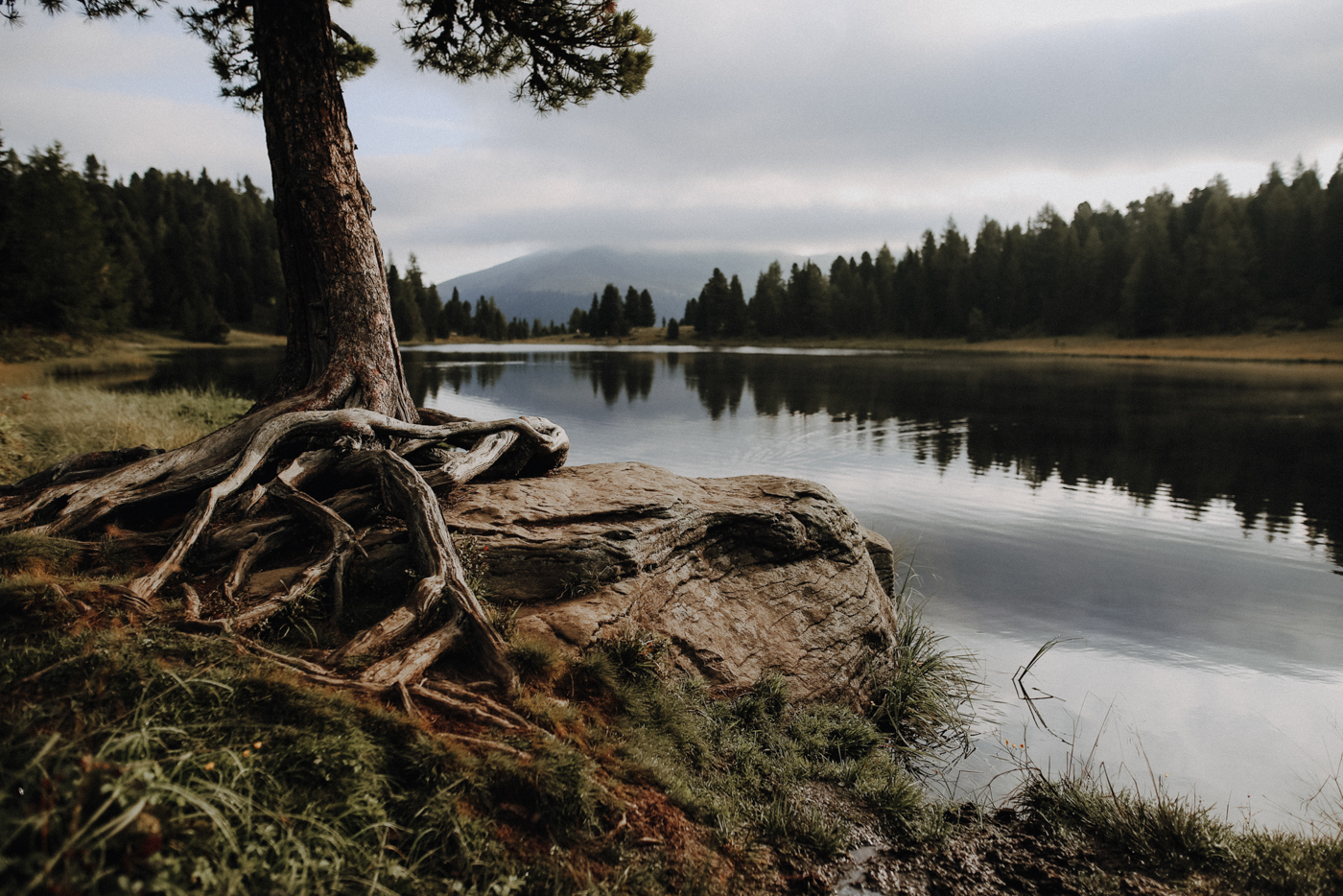 Nockberge Kärnten Wandern Turracher Höhe Schoberriegel Schwarzsee