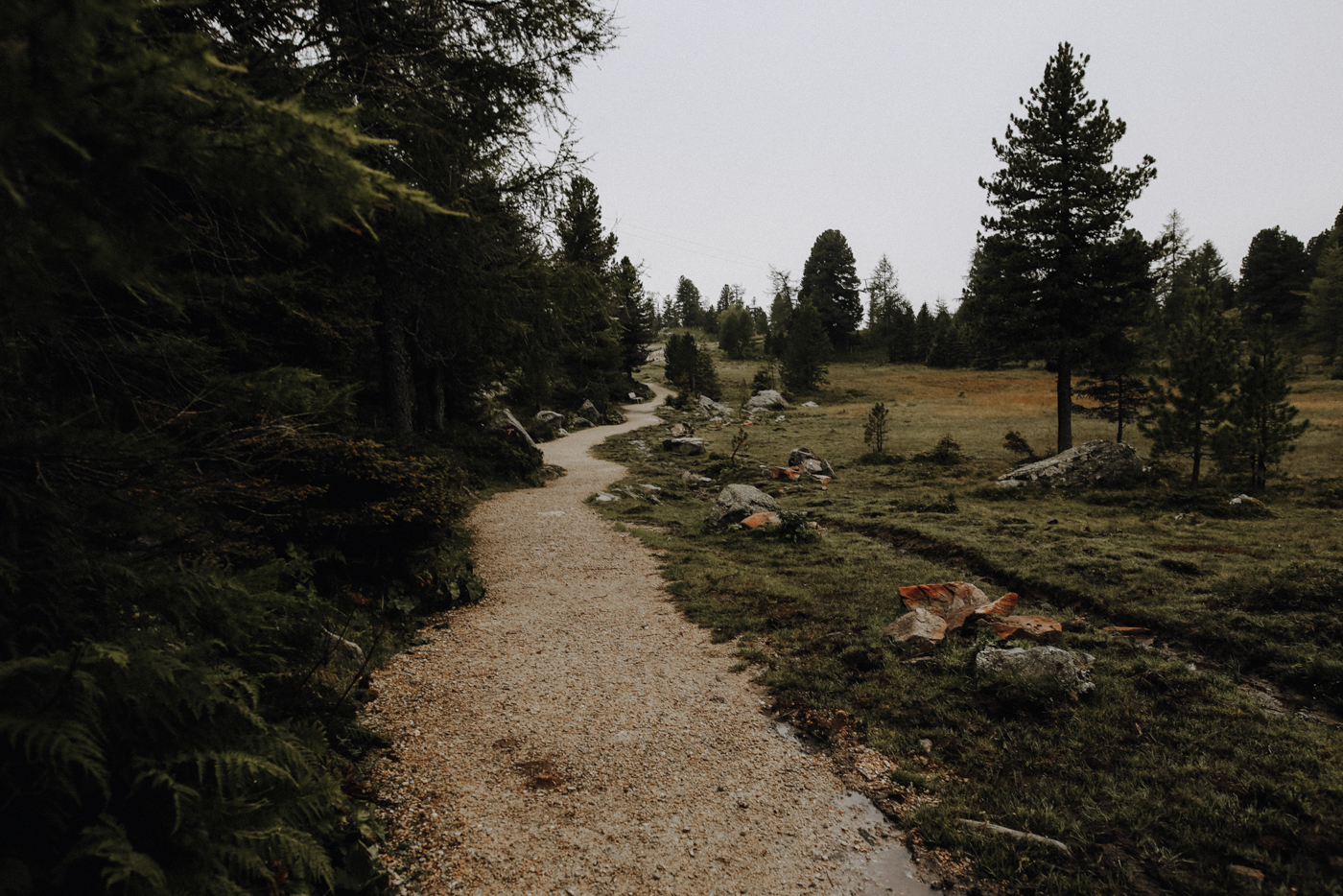Nockberge Kärnten Wandern Turracher Höhe Schoberriegel Schwarzsee