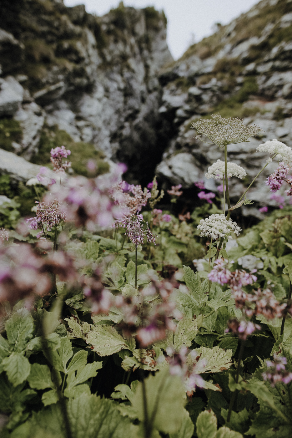 Nockberge Kärnten Wandern Turracher Höhe Schoberriegel