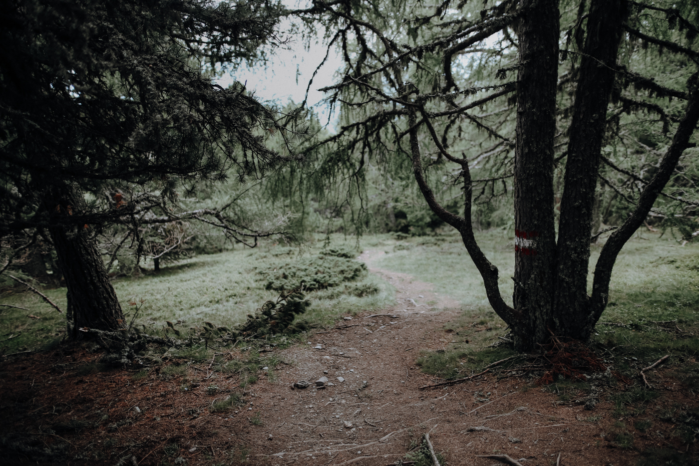 Nockberge Kärnten Wandern Turracher Höhe Schoberriegel