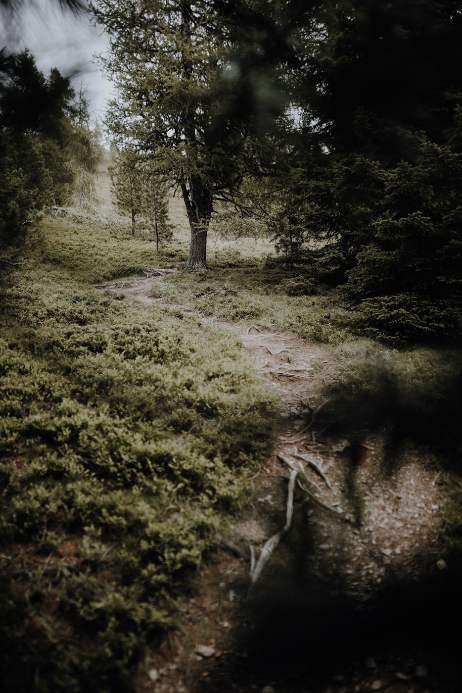 Nockberge Kärnten Wandern Turracher Höhe Schoberriegel