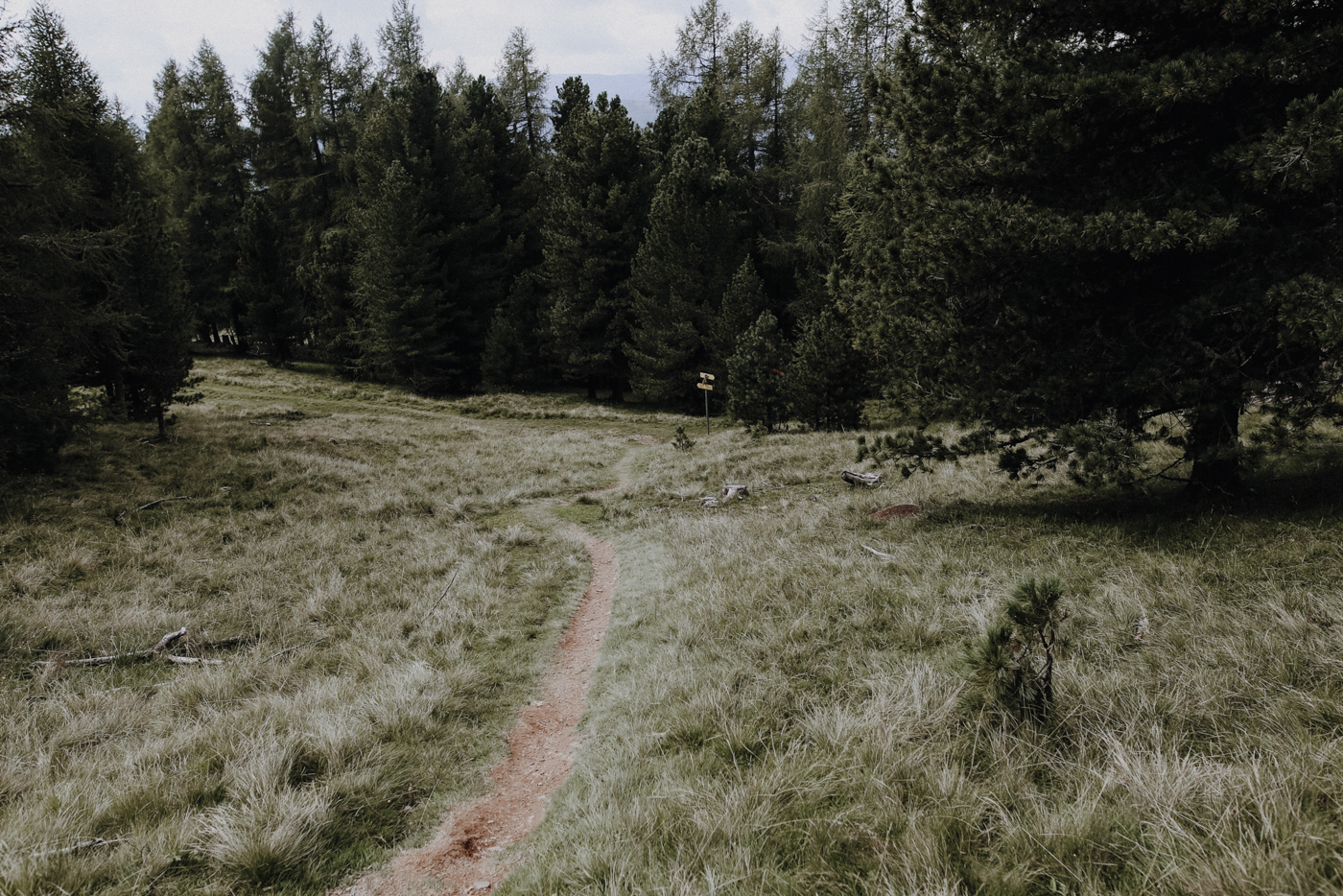 Nockberge Kärnten Wandern Turracher Höhe Schoberriegel