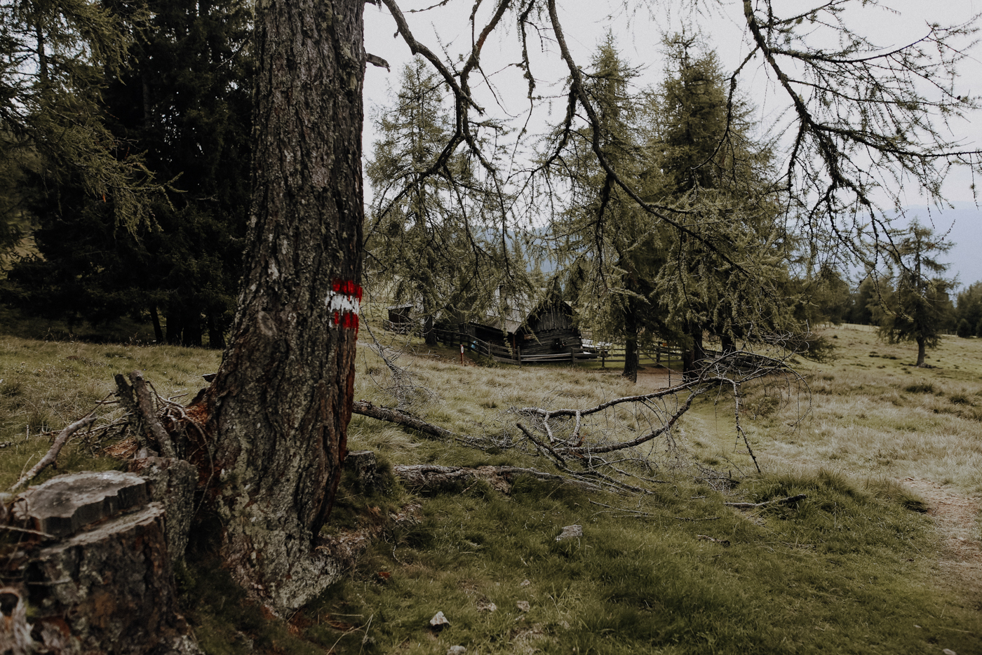 Nockberge Kärnten Wandern Turracher Höhe Schoberriegel