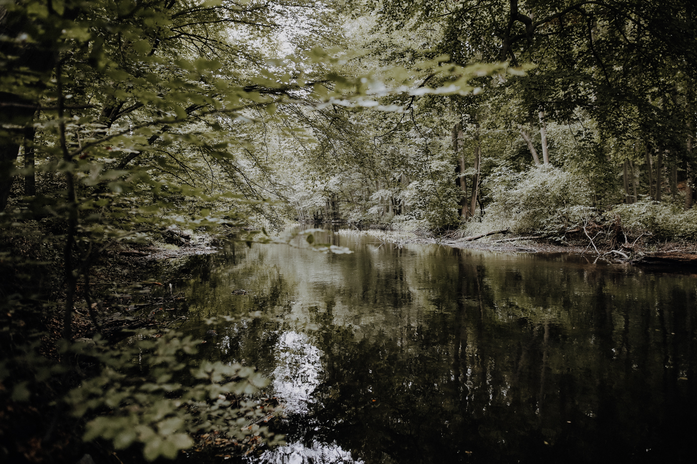Wandern Warnowtal Sternberger Seenland