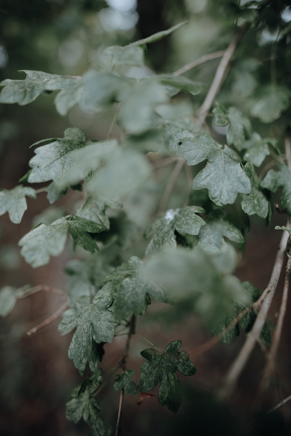 Wandern Warnowtal Sternberger Seenland