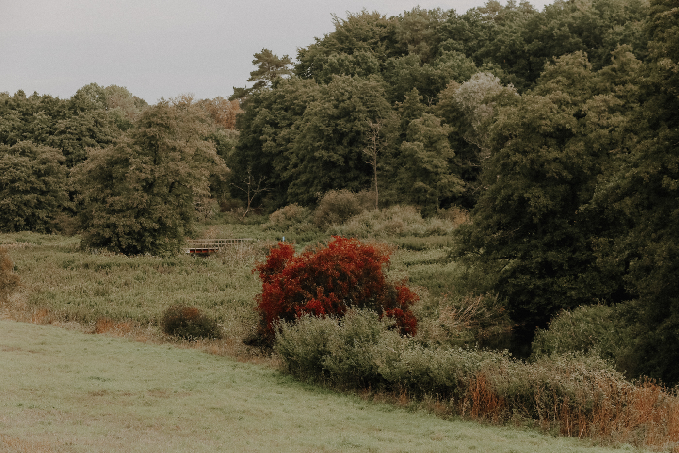 Wandern Warnowtal Sternberger Seenland