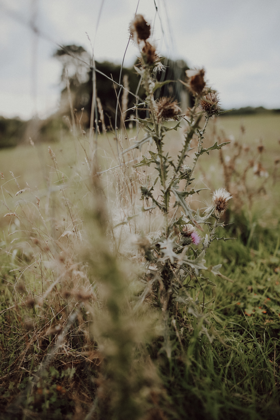 Wandern Warnowtal Sternberger Seenland