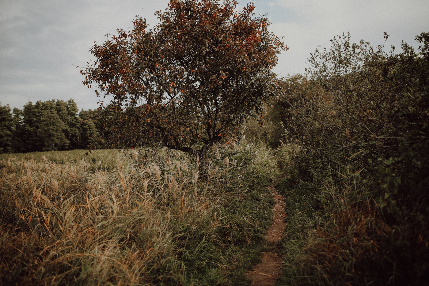 Wandern Mecklenburg Vorpommern Warnowtal