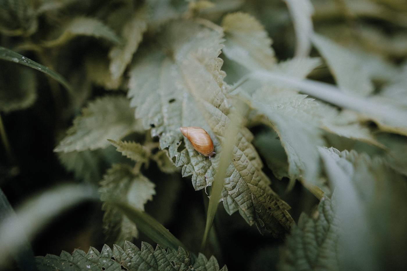 Wandern Warnowtal Sternberger Seenland