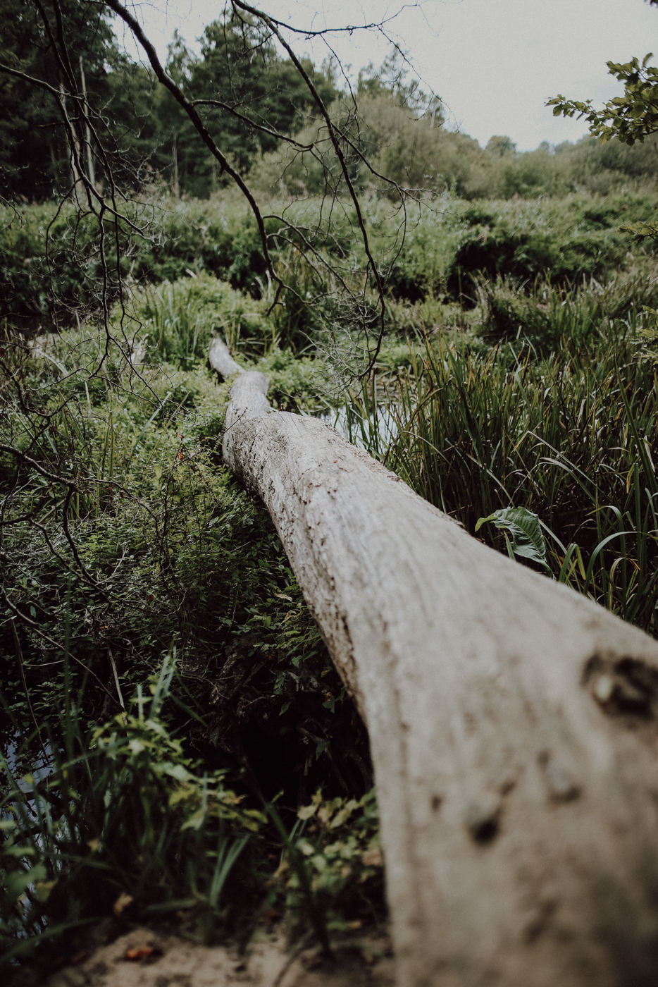 Wandern Warnowtal Sternberger Seenland