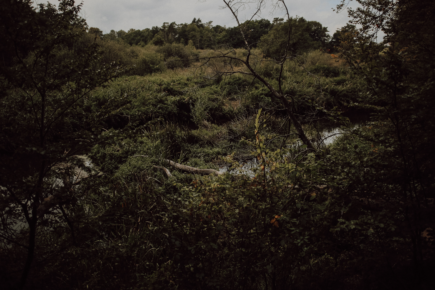 Wandern Mecklenburg Vorpommern Warnowtal
