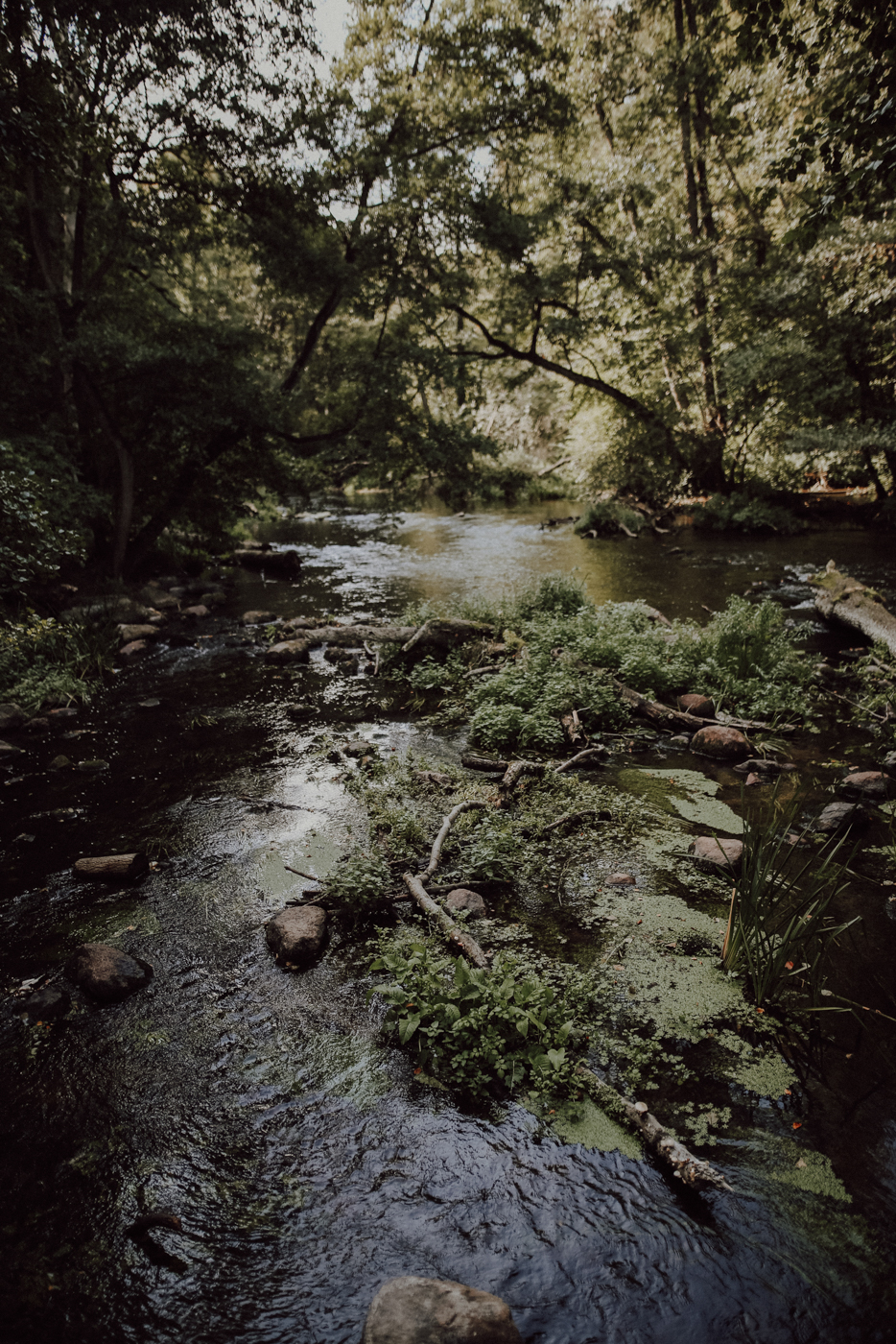 Wandern Mecklenburg Vorpommern Warnowtal