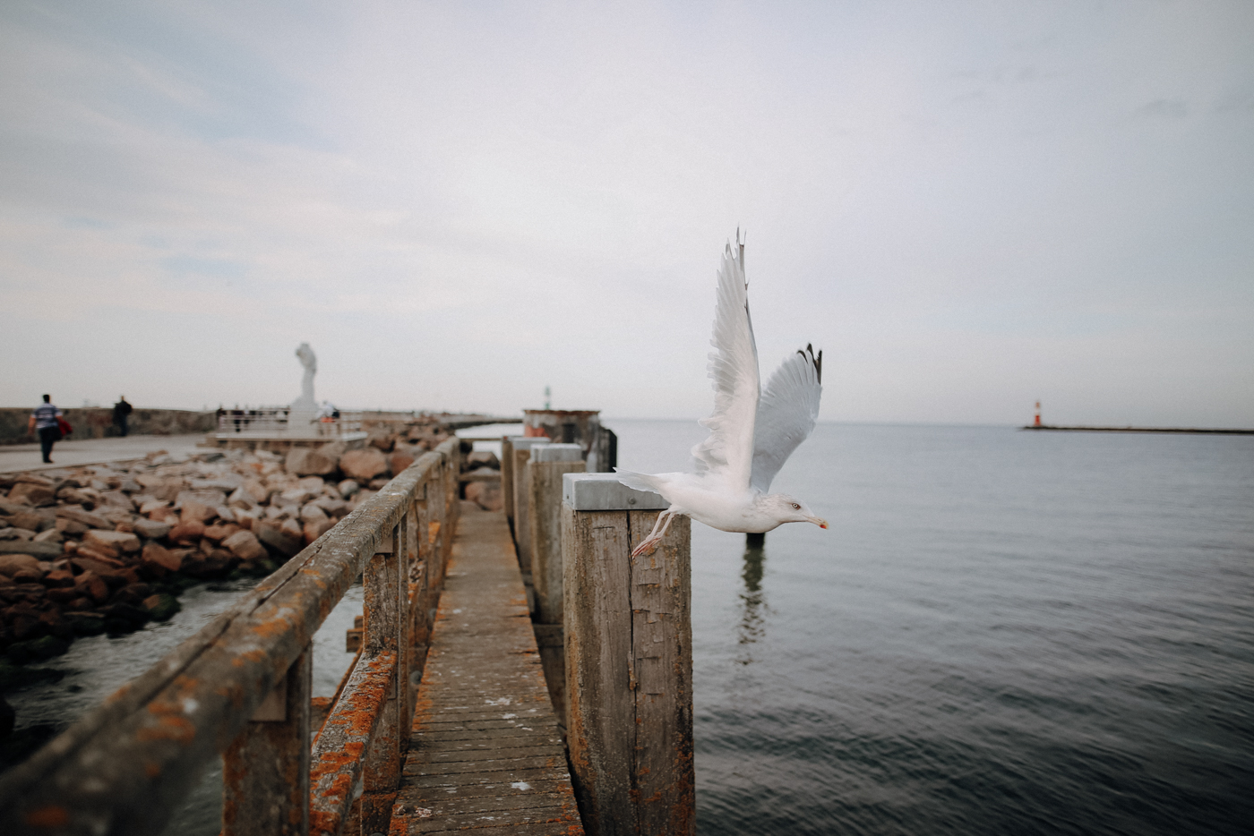 Wandern Mecklenburg Vorpommern Warnemünde