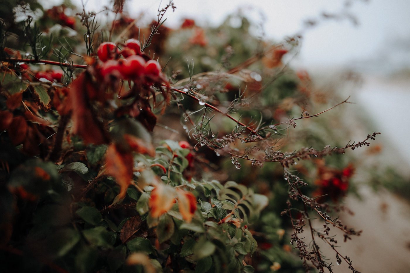 Wandern Warnemünde Thalasso