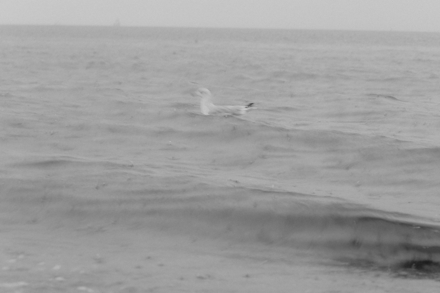 Wandern Warnemünde Thalasso