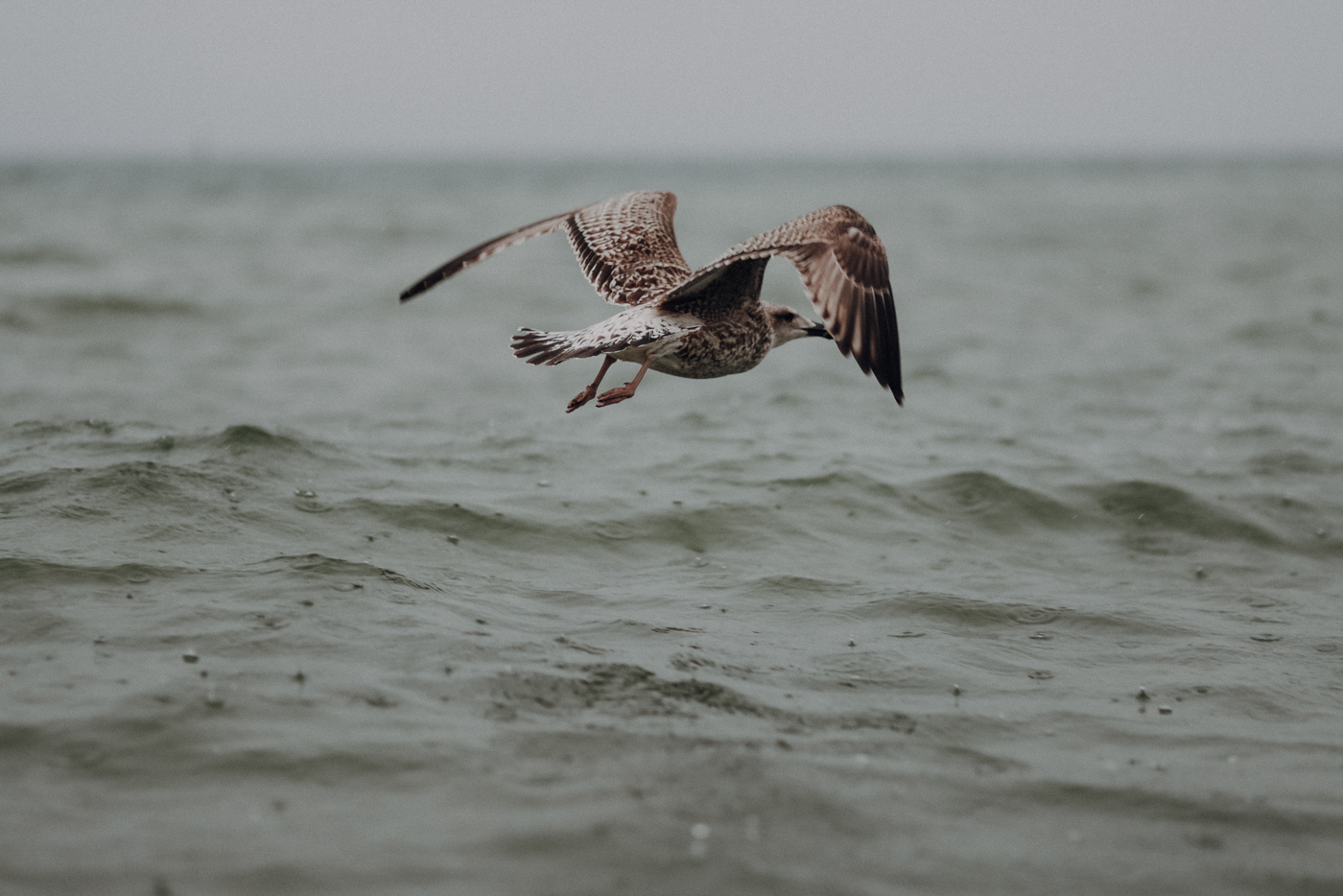 Wandern Warnemünde Thalasso