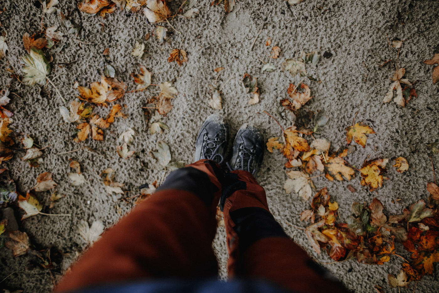 Wandern Warnemünde Steilküste Stoltera