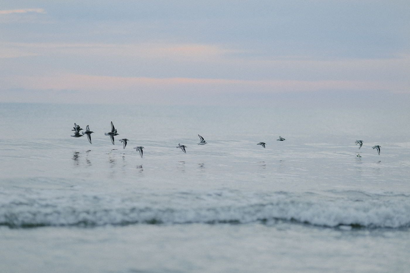 Wandern Darß Zingst Leuchtturmweg Herbst