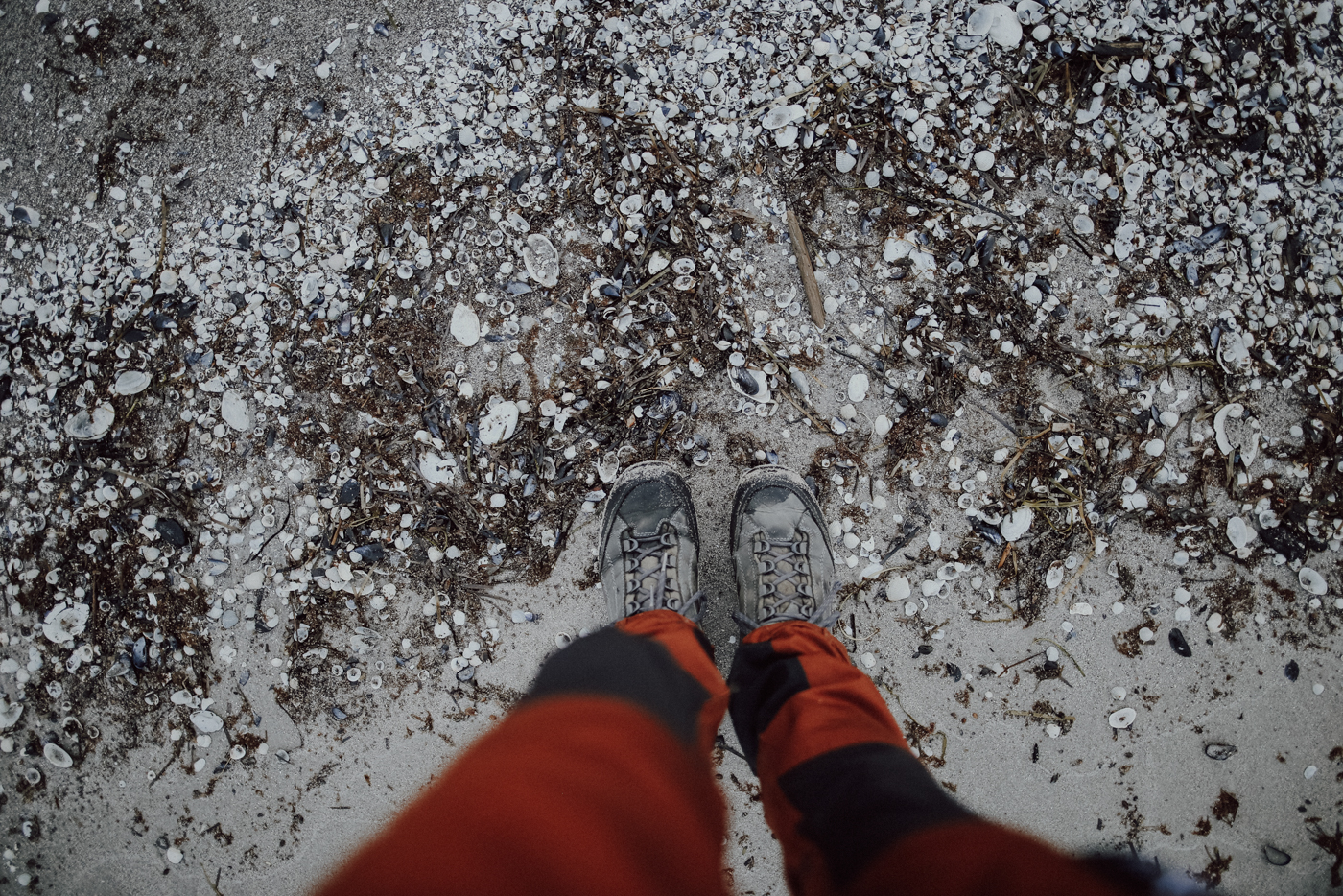 Wandern Darß Zingst Leuchtturmweg Herbst