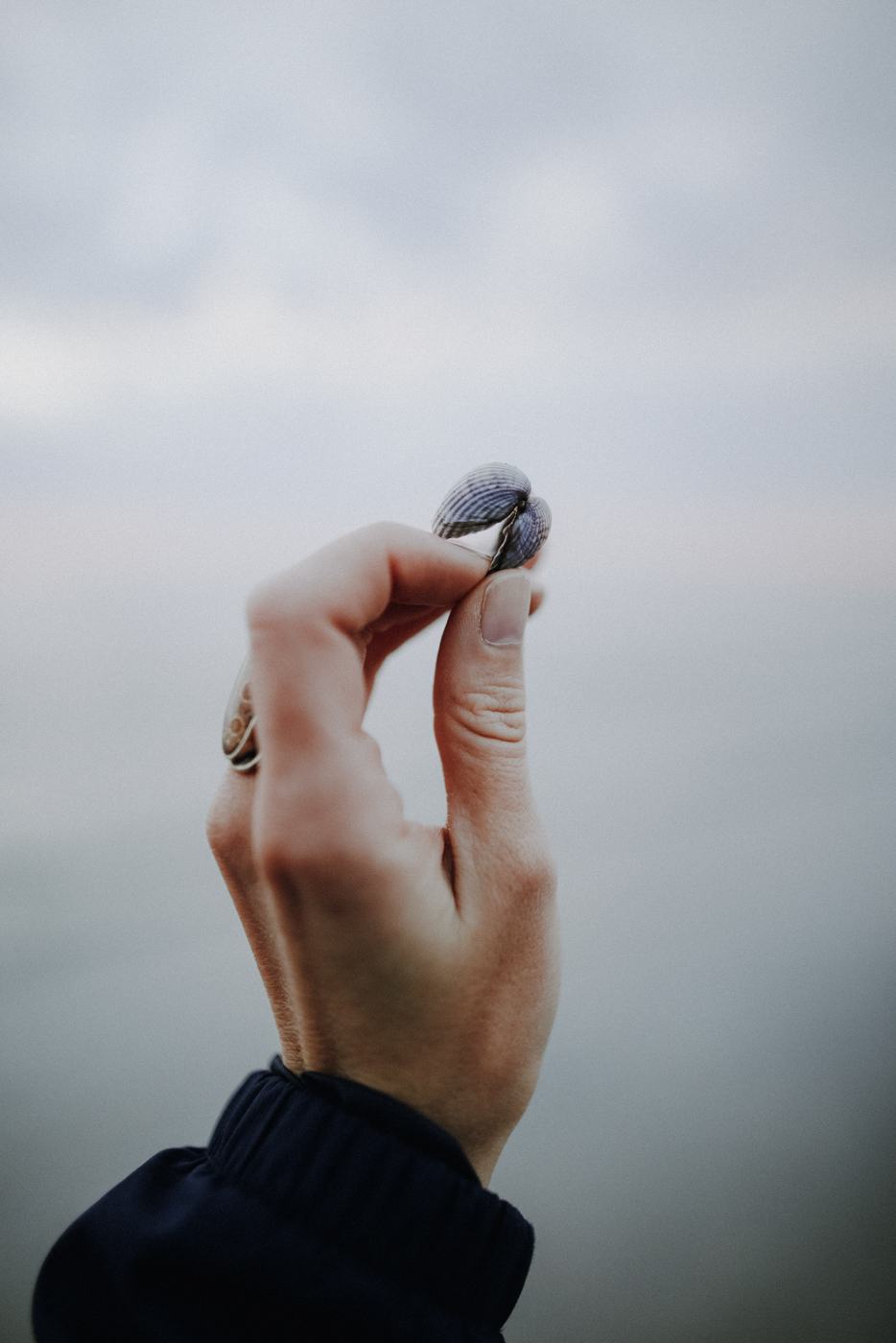 Wandern Darß Zingst Leuchtturmweg Herbst