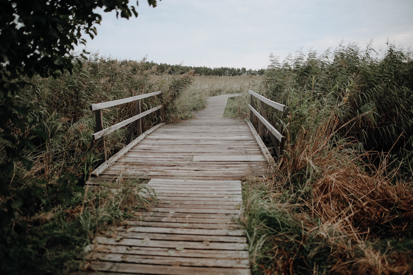 Wandern Mecklenburg Vorpommern Zingst Darß
