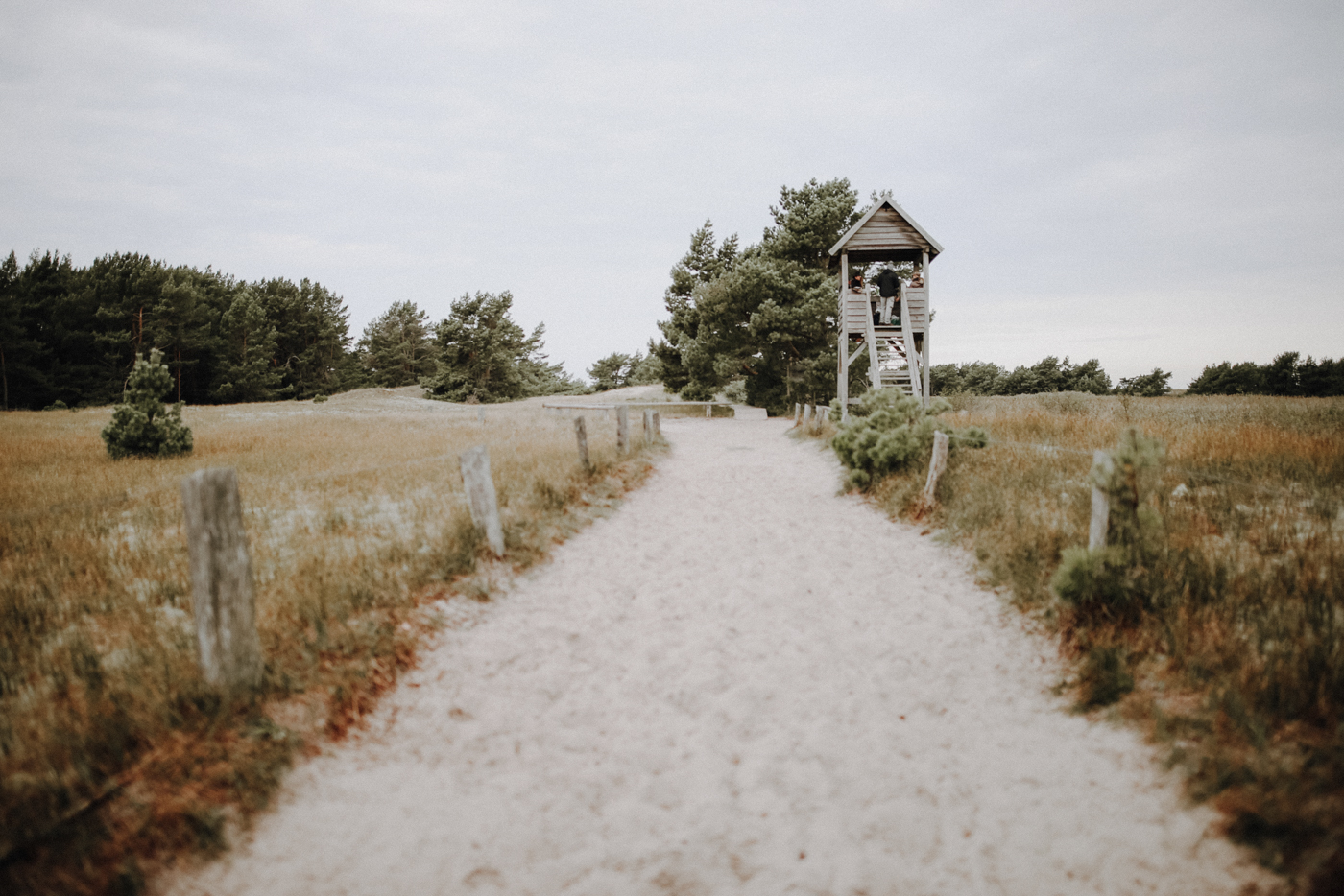 Wandern Darß Zingst Leuchtturmweg Herbst