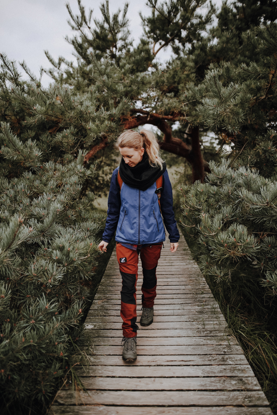 Wandern Darß Zingst Leuchtturmweg Herbst