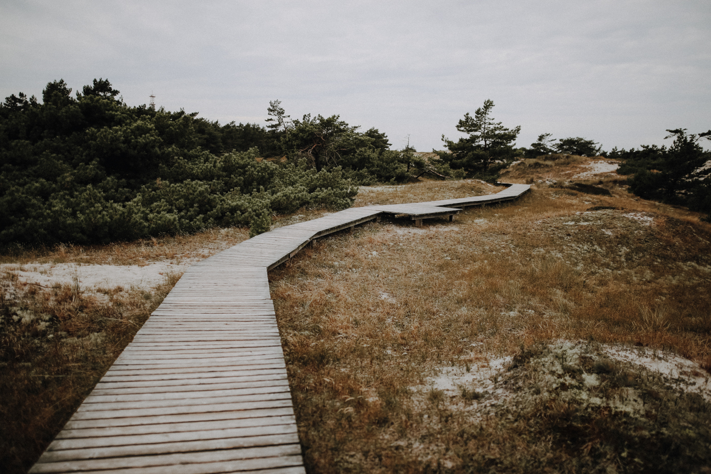 Wandern Darß Zingst Leuchtturmweg Herbst