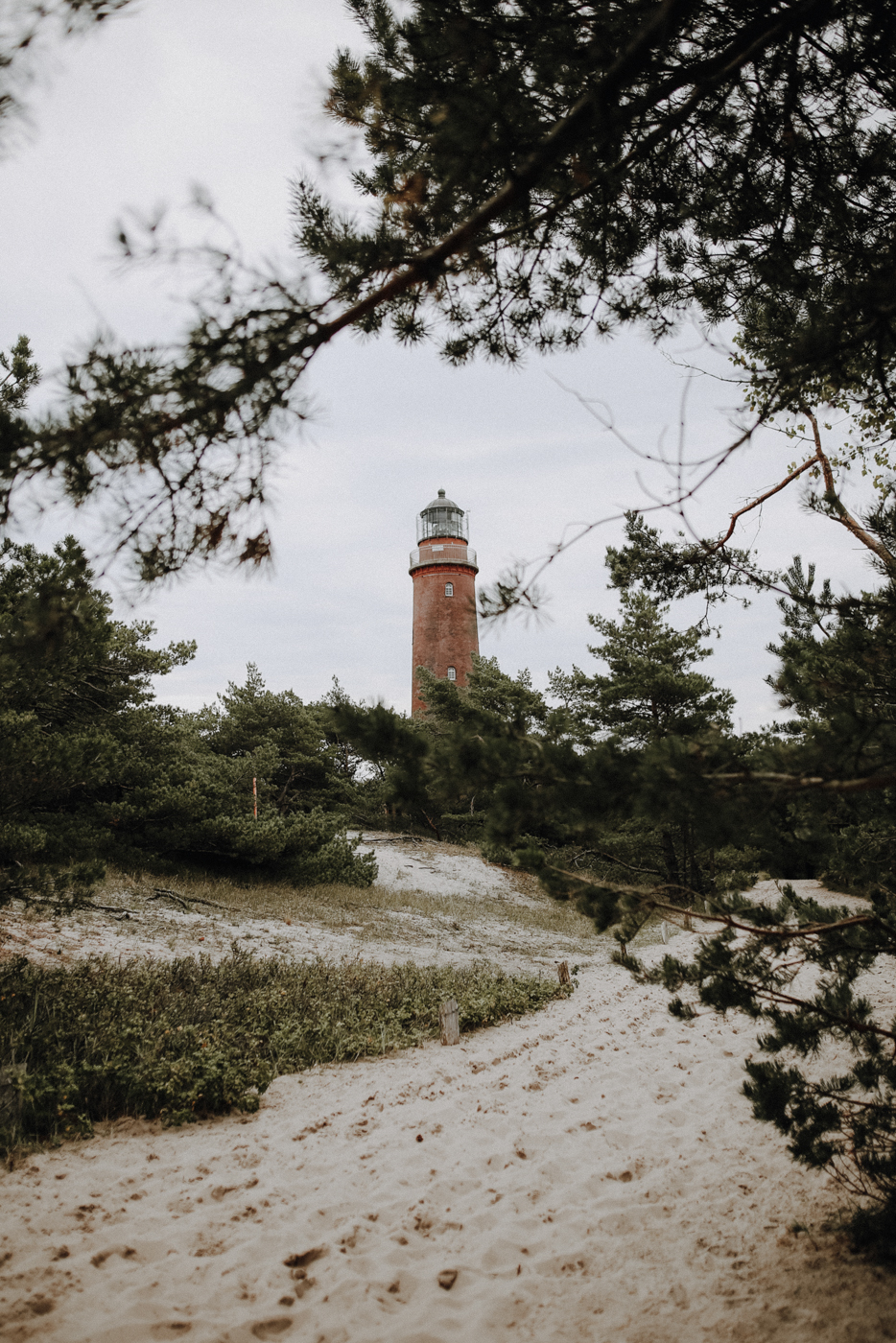 Wandern Darß Zingst Leuchtturmweg Herbst