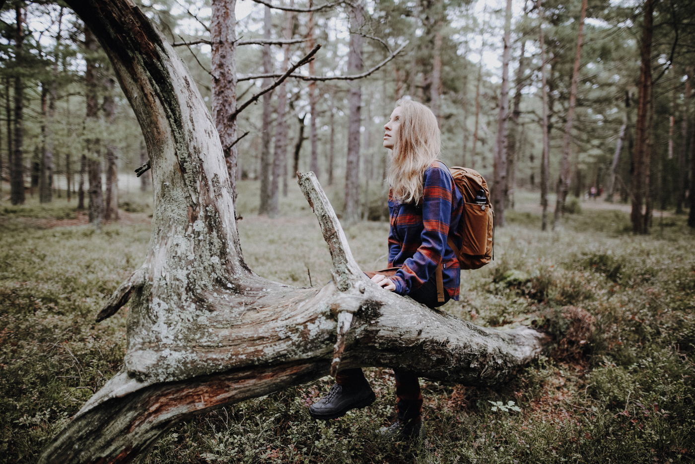 Wandern Mecklenburg Vorpommern Zingst Darß