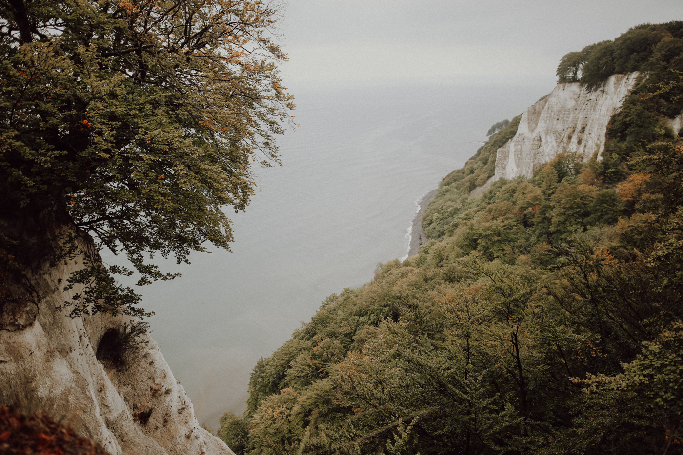 Wandern Rügen Hochuferweg Königsstuhl