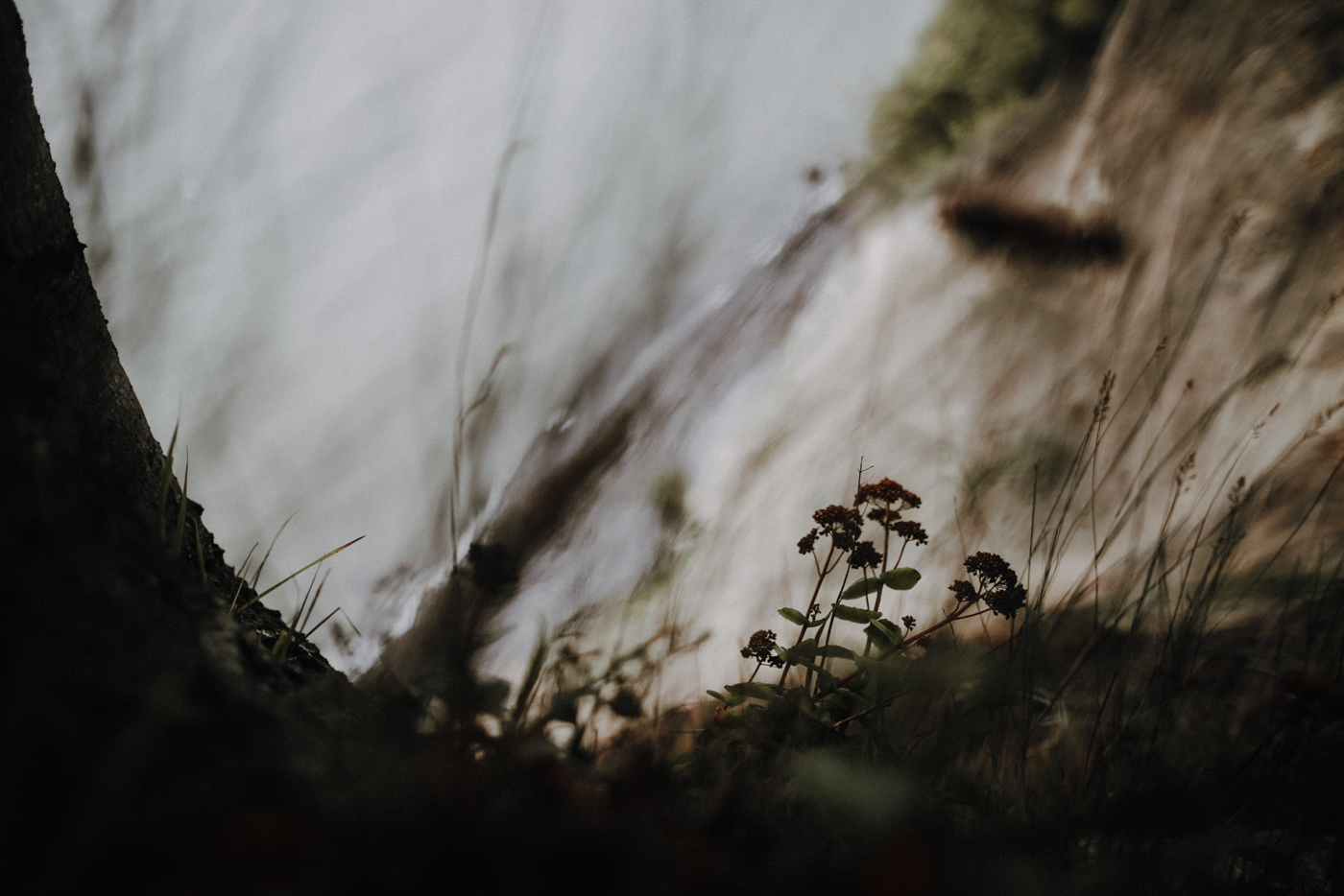 Wandern Mecklenburg Vorpommern Rügen