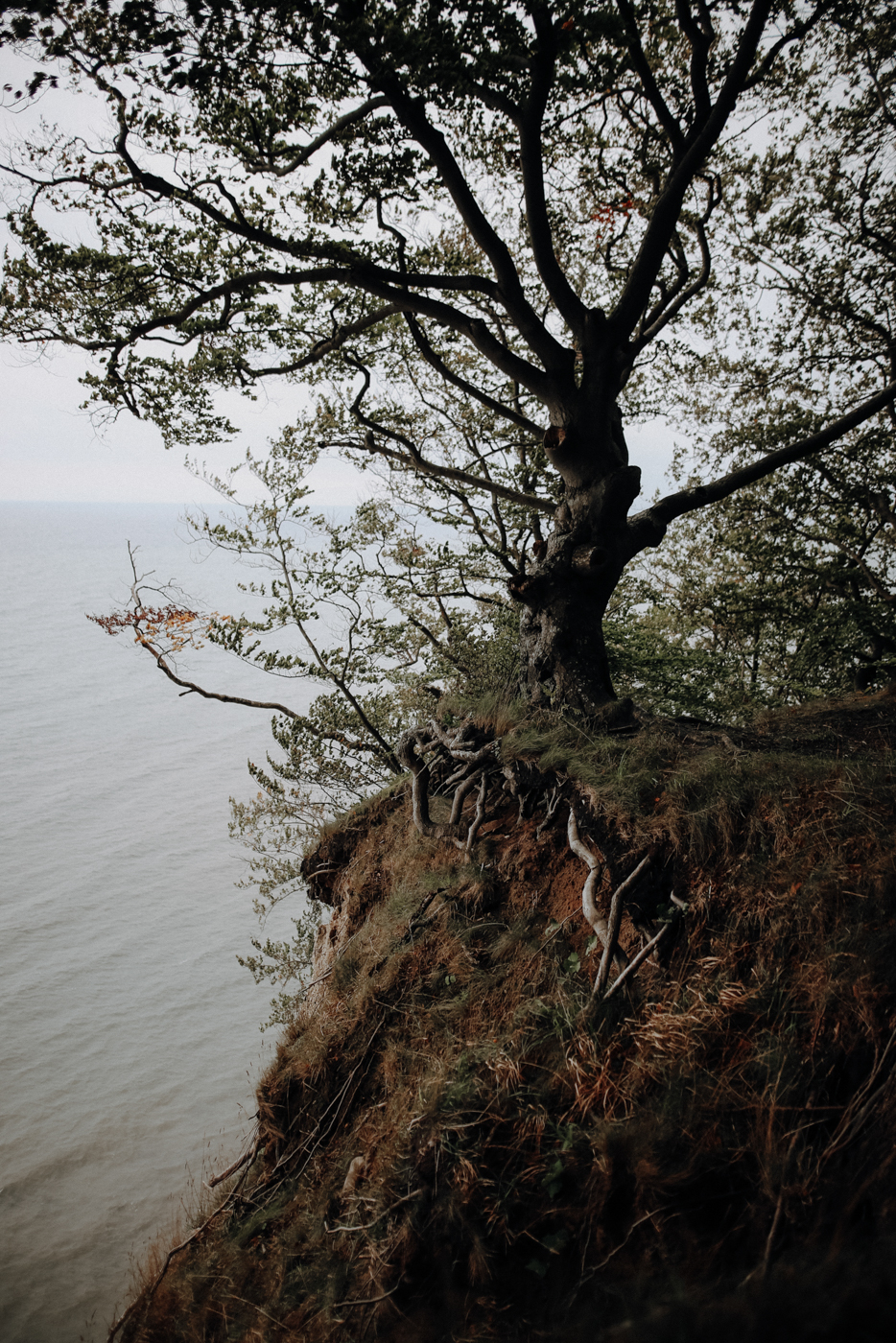 Wandern Rügen Hochuferweg Königsstuhl