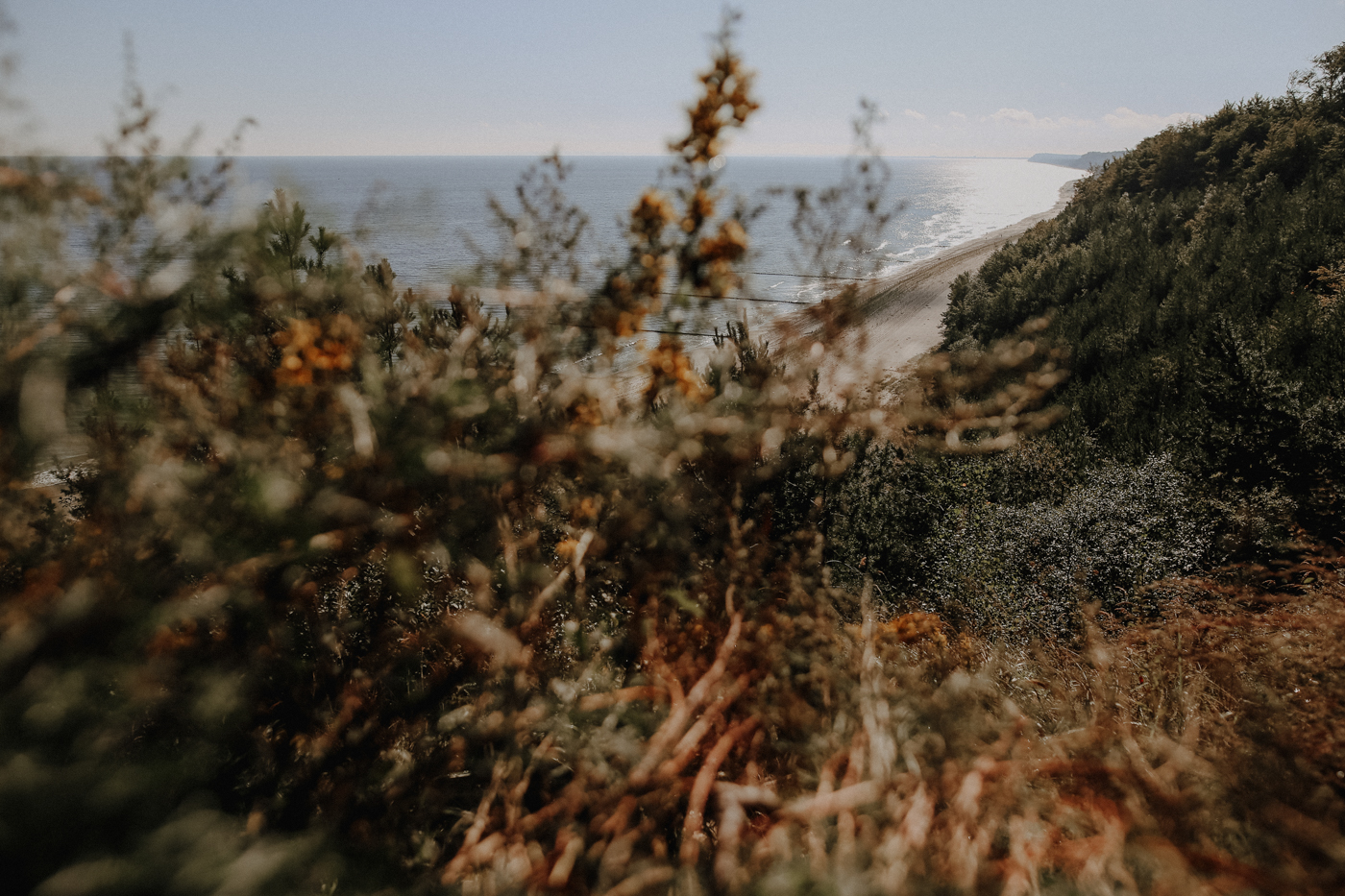 Wandern Usedom Streckelsberg