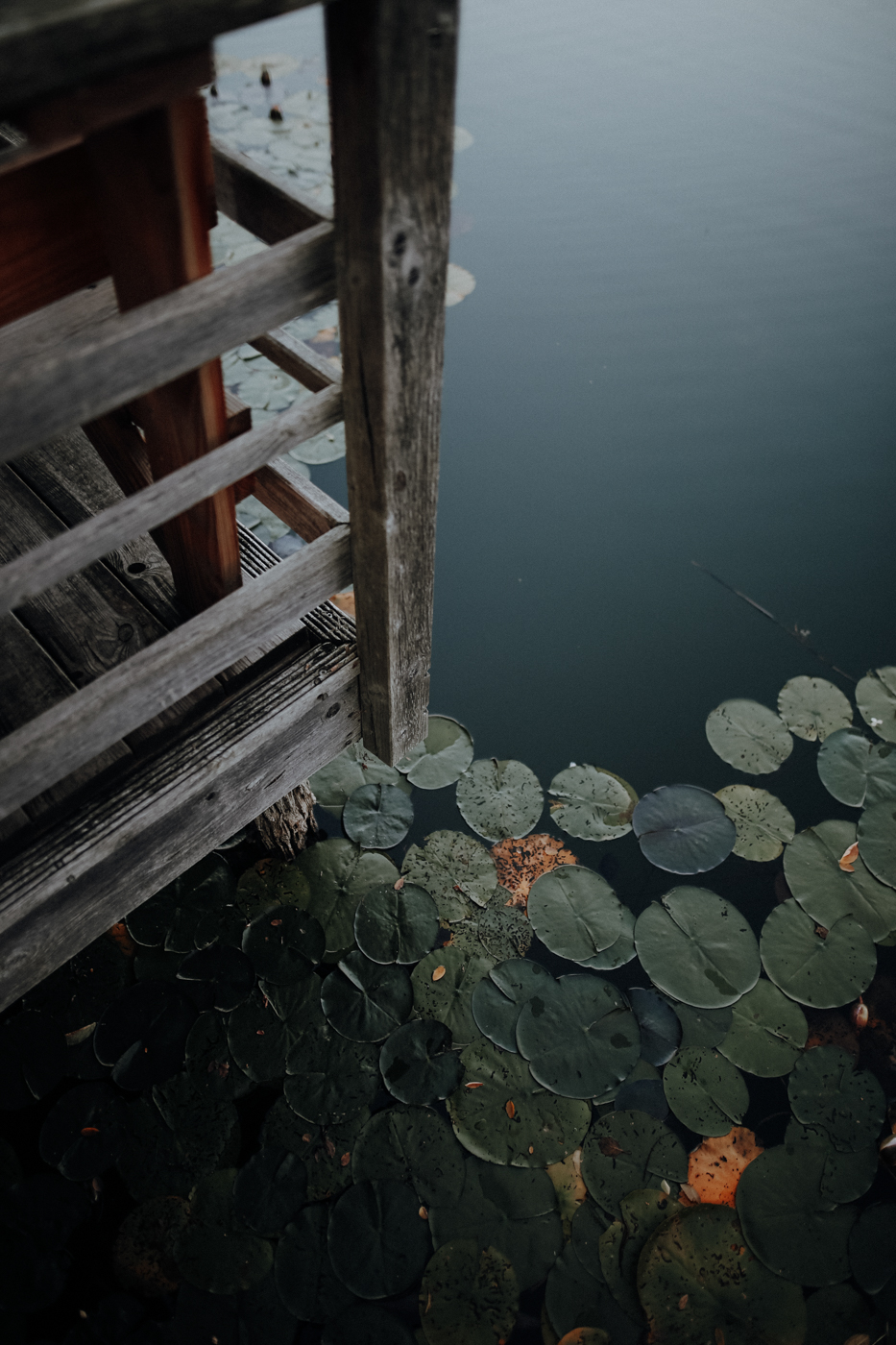 Wandern Feldberger Seenlandschaft Carwitz Fallada Fridolinweg
