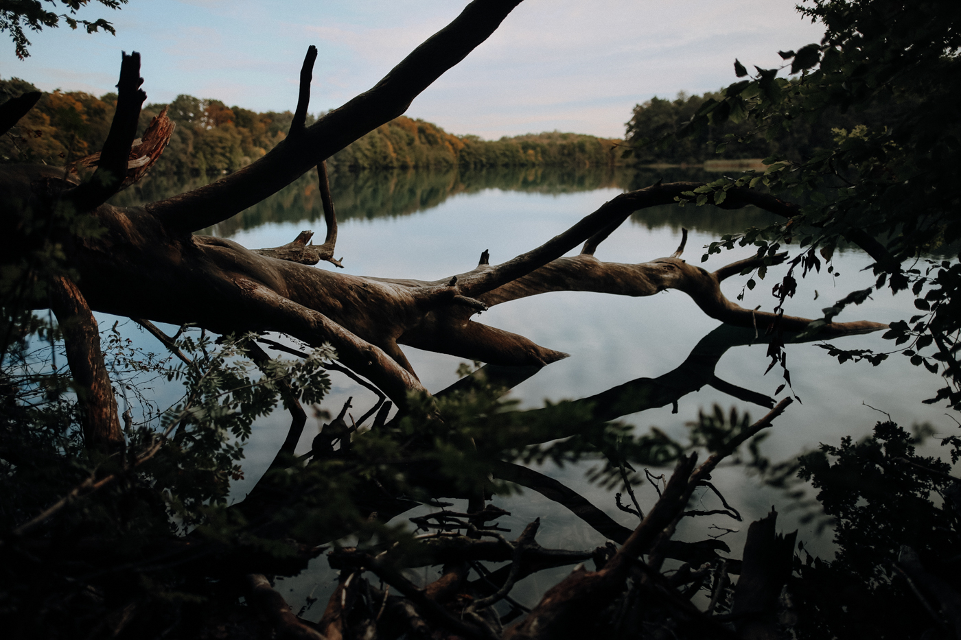 Wandern Mecklenburg Vorpommern Feldberger Seen