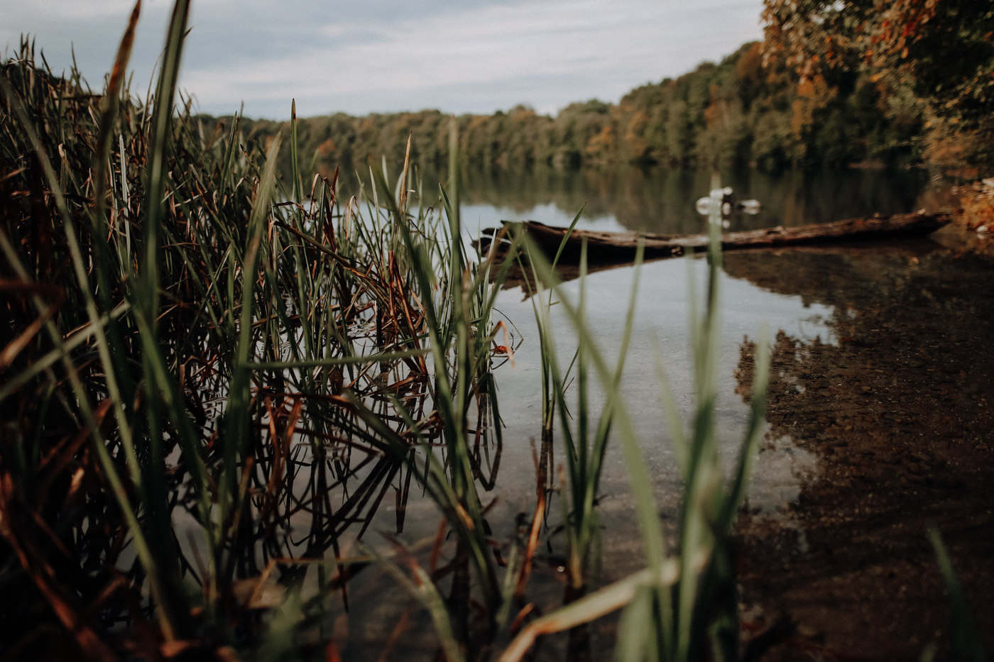 Wandern Feldberger Seenlandschaft Carwitz Schmaler Luzin Fridolinweg