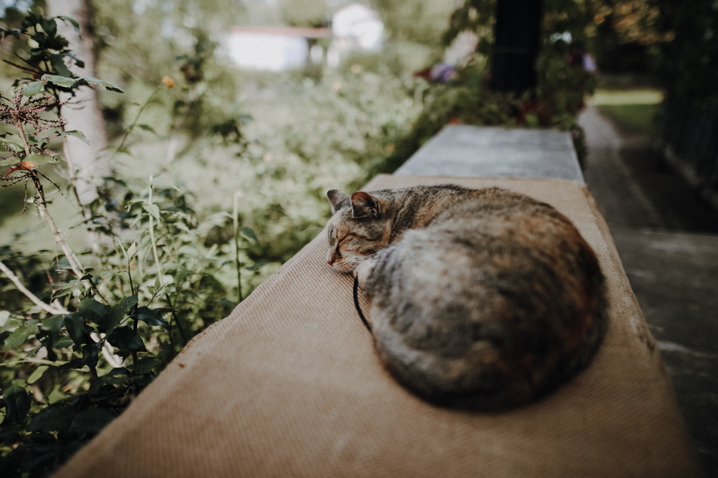 Wandern Feldberger Seenlandschaft Carwitz Fallada Fridolinweg