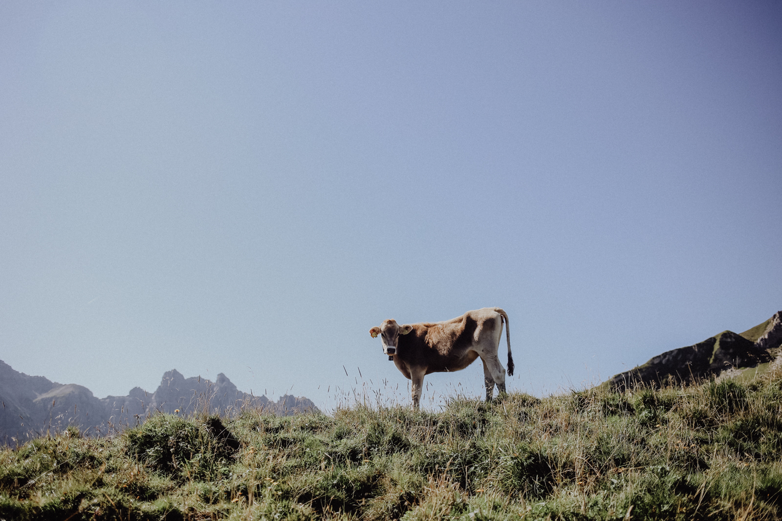 Österreich Wandern Tirol Tannheimer Tal