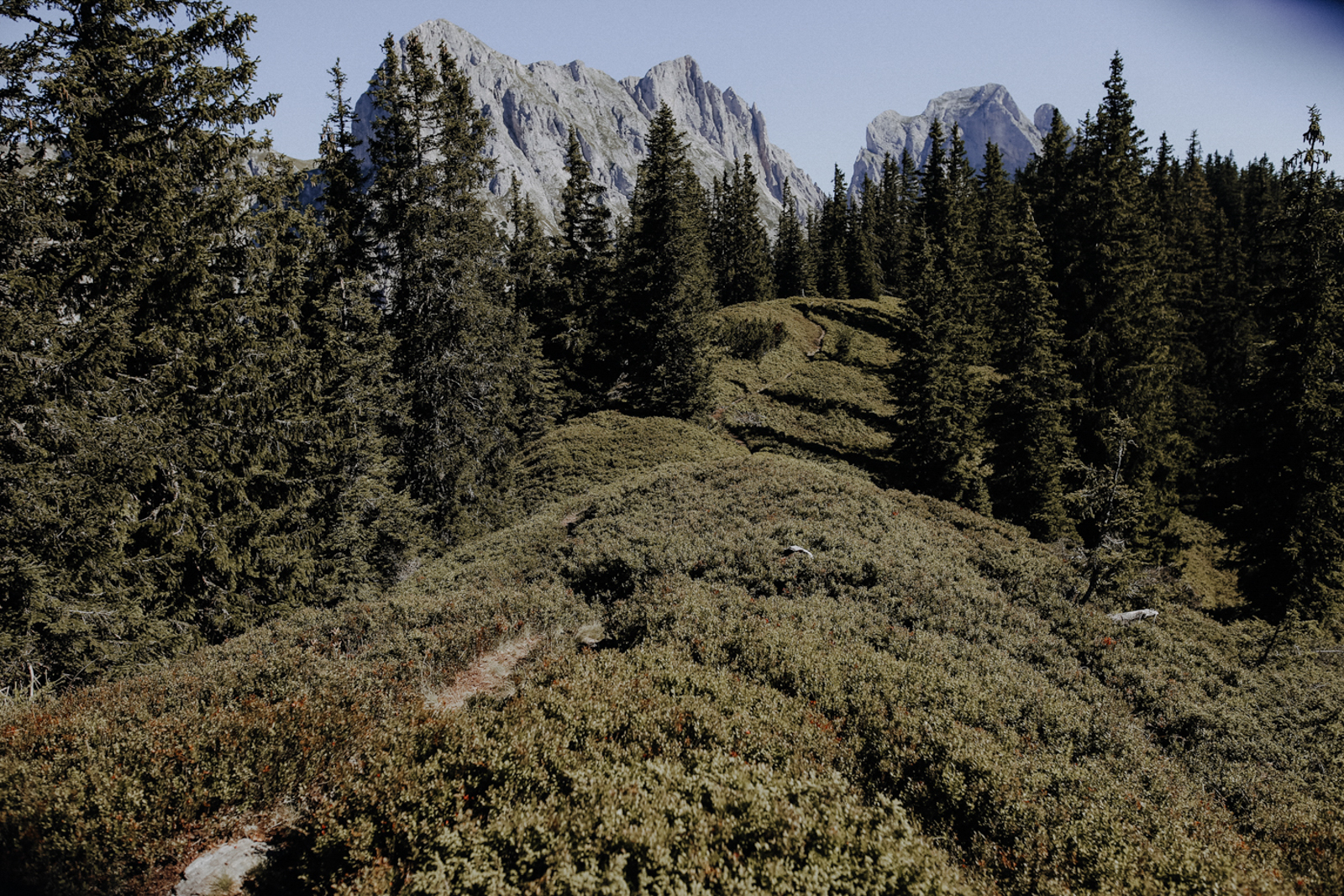 Österreich Wandern Steiermark Gesäuse Admonter Kalbling