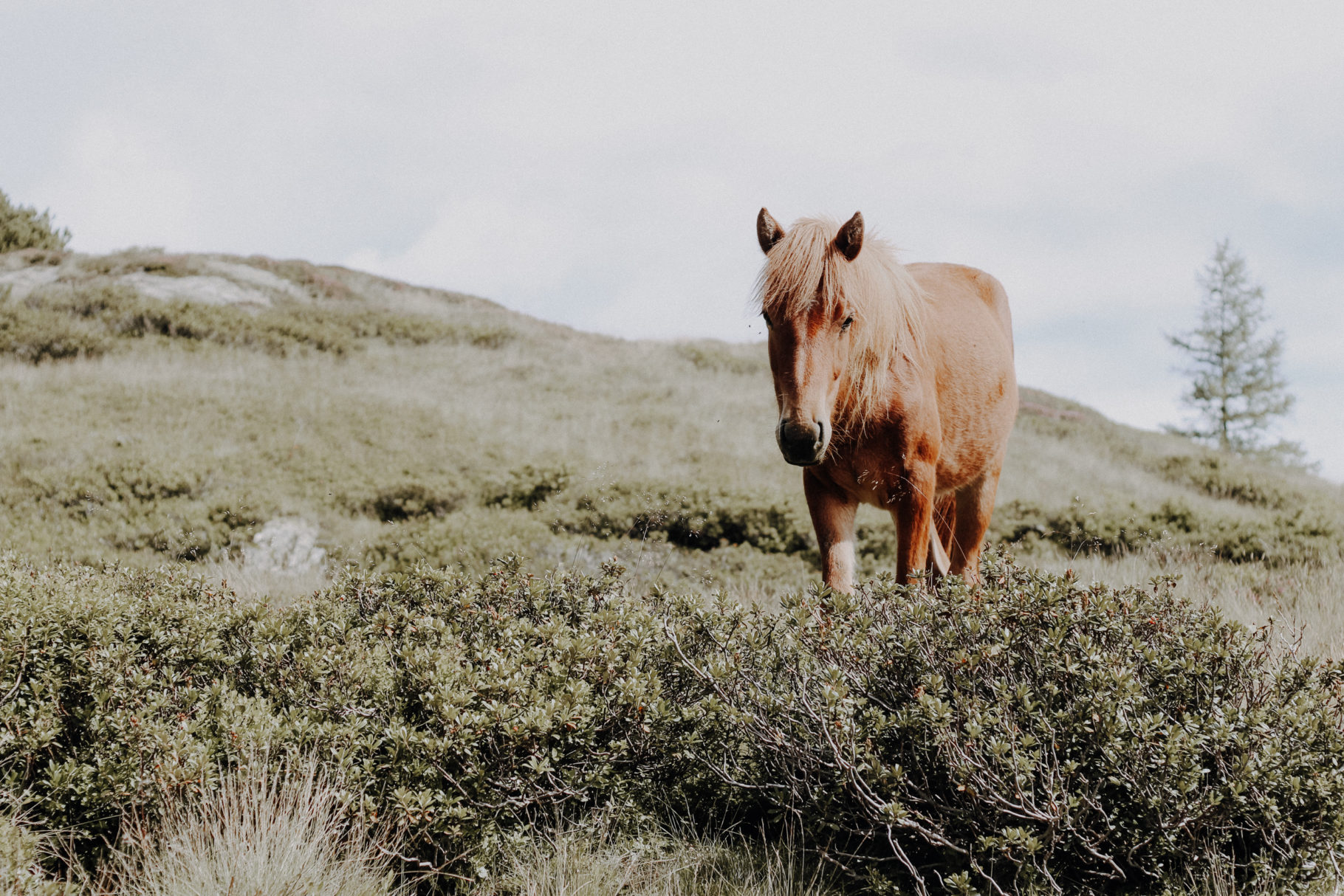 Österreich Wandern Hüttentour Duisitzkarsee