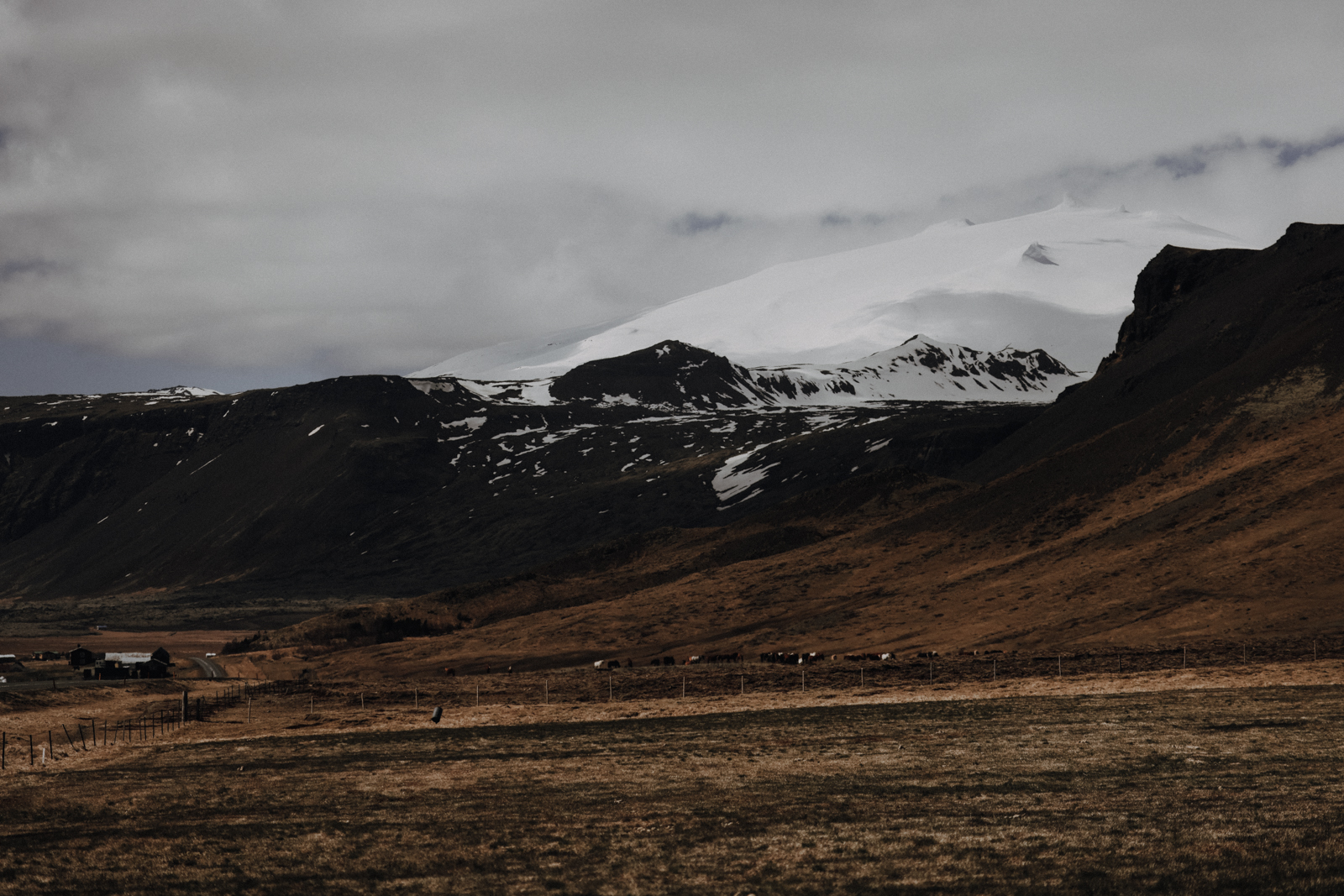 Tagesausflug Reykjavik Snaefellsnes Halbinsel Snaefellsjökull