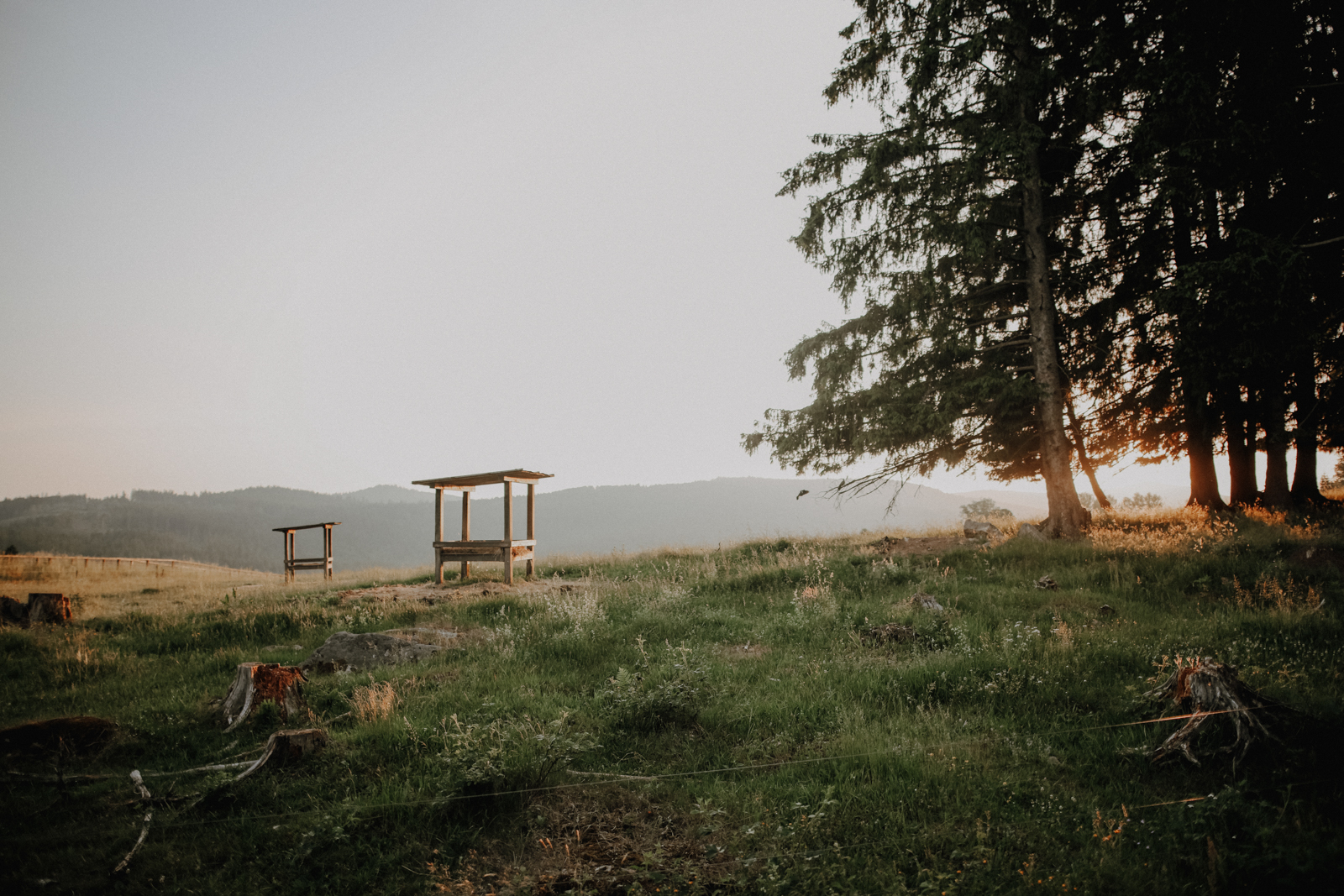 Bayerischer Wald Wandern Nationalparkzentrum Falkenstein