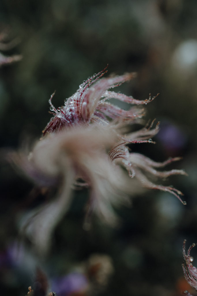 Kameraausrüstung Naturfotografie