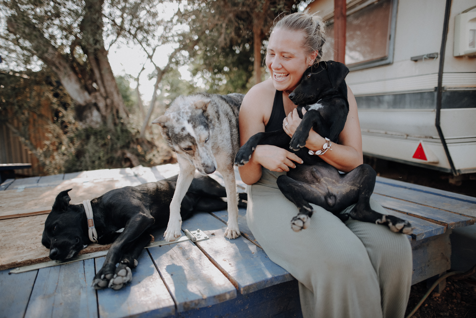 Hunde aus Portugal Algarve Tierheim Place for Strays