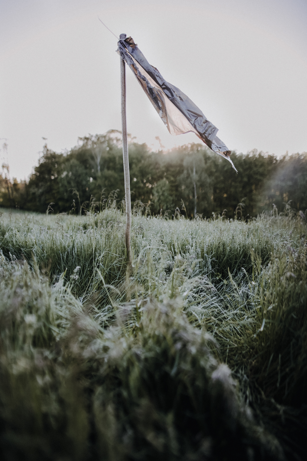 Rehkitzrettung Vergrämungsmaßnahmen