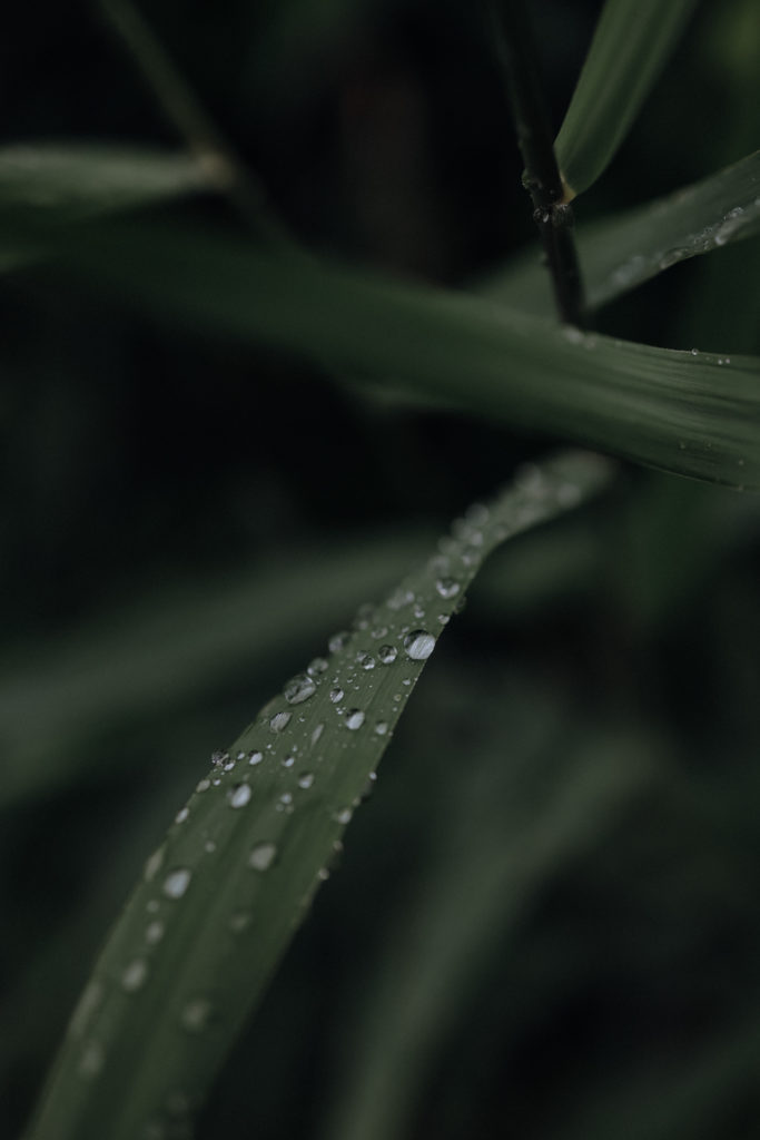 Packrafting Microadventure Packrafttrail Niederlande